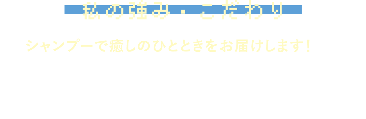 私の強み・こだわり