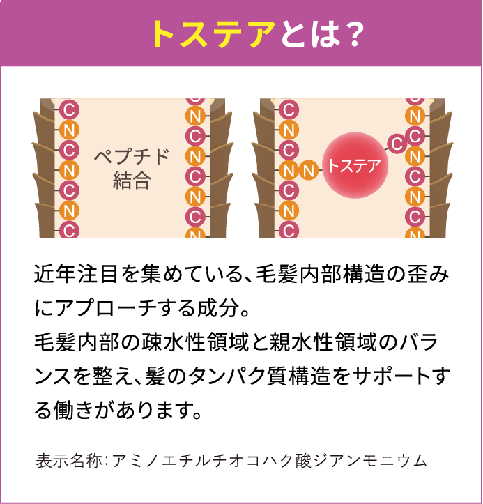 トステアとは？近年注目を集めている、毛髪内部構造の歪みにアプローチする成分。毛髪内部の疎水性領域と親水性領域のバランスを整え、髪のタンパク質構造をサポートする働きがあります。表示名称：アミノエチルチオコハク酸ジアンモニウム