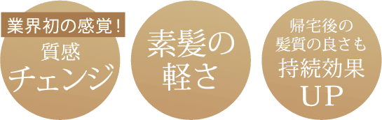 業界初の感覚！質感チェンジ・素髪の軽さ・帰宅後の髪質の良さも持続効果UP